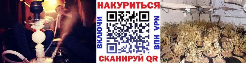 Сколько стоит Кызыл A-PVP  Псилоцибиновые грибы  МАРИХУАНА  ГАШИШ 