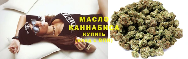 дмт Вяземский