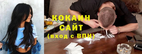дмт Вяземский